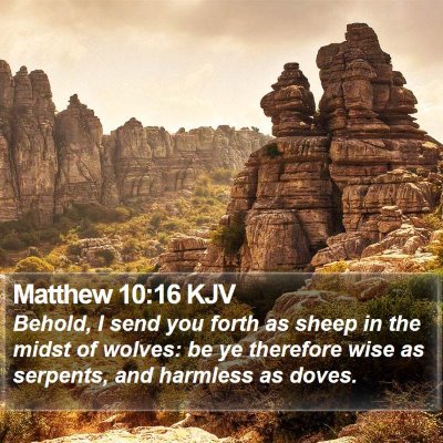 Matthew 10:16 KJV Bible Verse Image