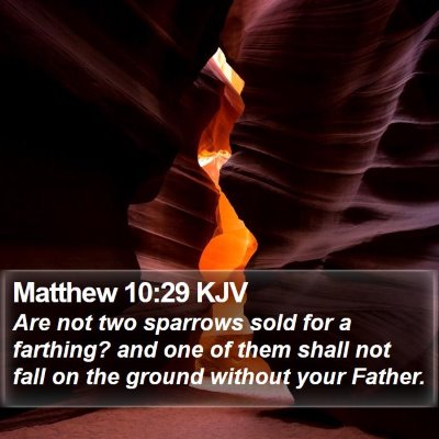 Matthew 10:29 KJV Bible Verse Image