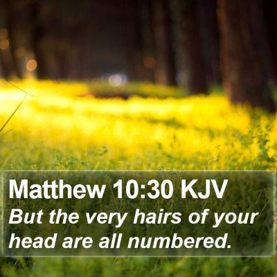 Matthew 10:30 KJV Bible Verse Image