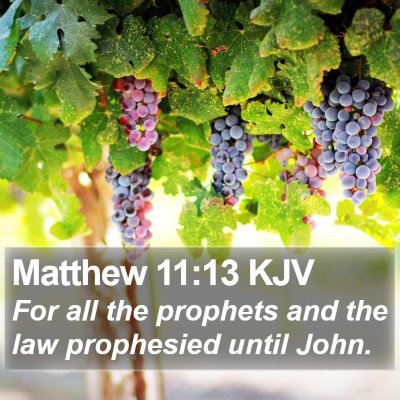Matthew 11:13 KJV Bible Verse Image