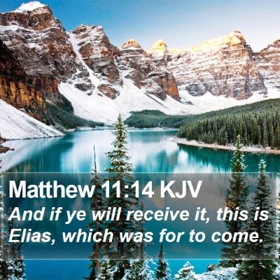 Matthew 11:14 KJV Bible Verse Image