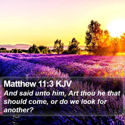 Matthew 11:3 KJV Bible Verse Image
