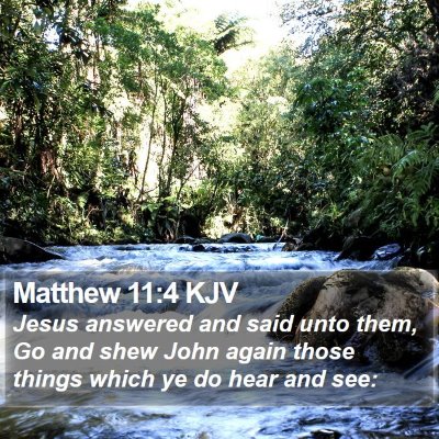 Matthew 11:4 KJV Bible Verse Image