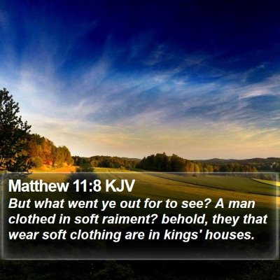 Matthew 11:8 KJV Bible Verse Image