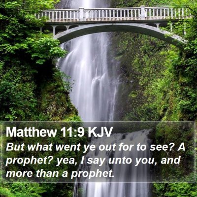 Matthew 11:9 KJV Bible Verse Image