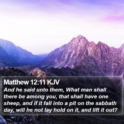 Matthew 12:11 KJV Bible Verse Image