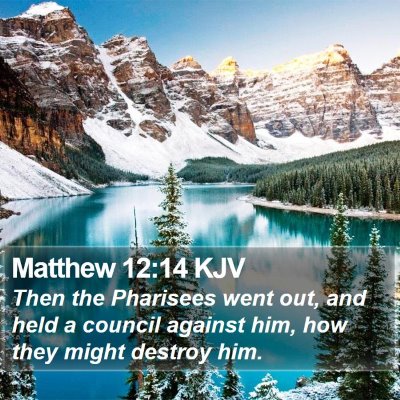Matthew 12:14 KJV Bible Verse Image