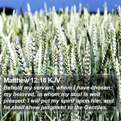 Matthew 12:18 KJV Bible Verse Image