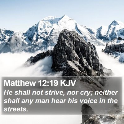 Matthew 12:19 KJV Bible Verse Image