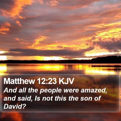 Matthew 12:23 KJV Bible Verse Image