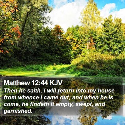 Matthew 12:44 KJV Bible Verse Image