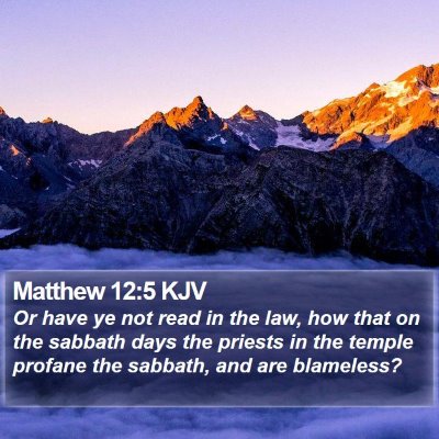 Matthew 12:5 KJV Bible Verse Image