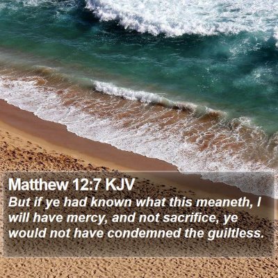 Matthew 12:7 KJV Bible Verse Image
