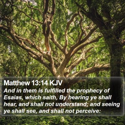 Matthew 13:14 KJV Bible Verse Image