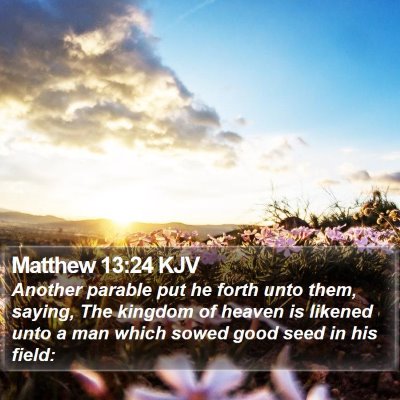 Matthew 13:24 KJV Bible Verse Image