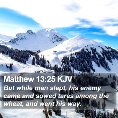 Matthew 13:25 KJV Bible Verse Image