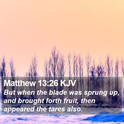 Matthew 13:26 KJV Bible Verse Image