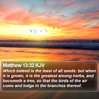 Matthew 13:32 KJV Bible Verse Image