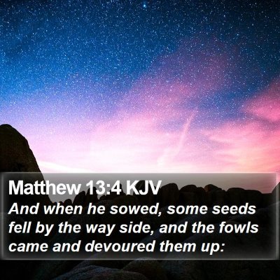 Matthew 13:4 KJV Bible Verse Image