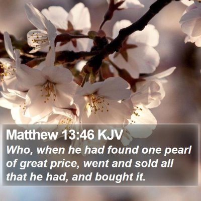 Matthew 13:46 KJV Bible Verse Image