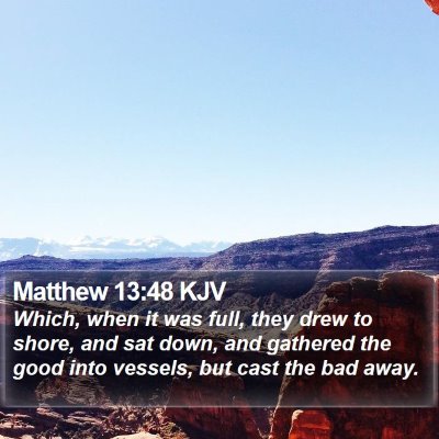 Matthew 13:48 KJV Bible Verse Image