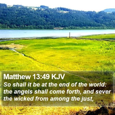 Matthew 13:49 KJV Bible Verse Image