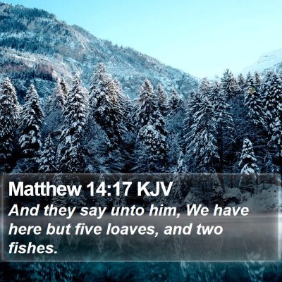 Matthew 14:17 KJV Bible Verse Image