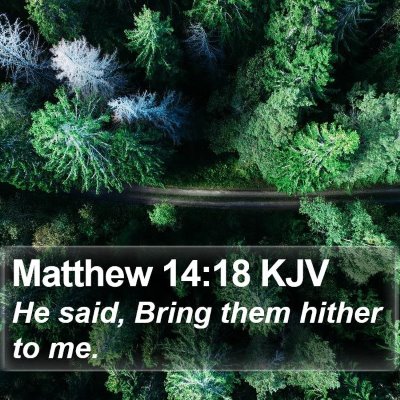 Matthew 14:18 KJV Bible Verse Image