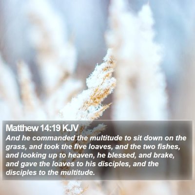 Matthew 14:19 KJV Bible Verse Image