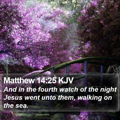 Matthew 14:25 KJV Bible Verse Image