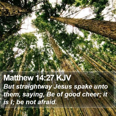 Matthew 14:27 KJV Bible Verse Image