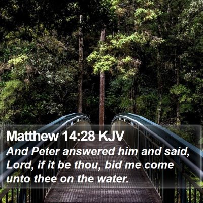 Matthew 14:28 KJV Bible Verse Image
