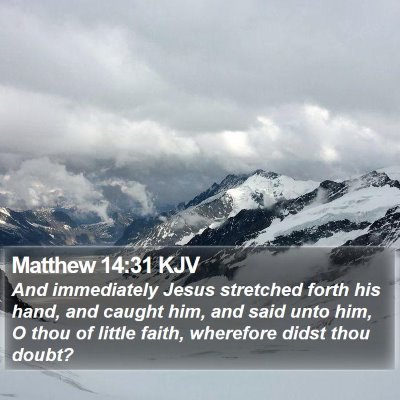 Matthew 14:31 KJV Bible Verse Image