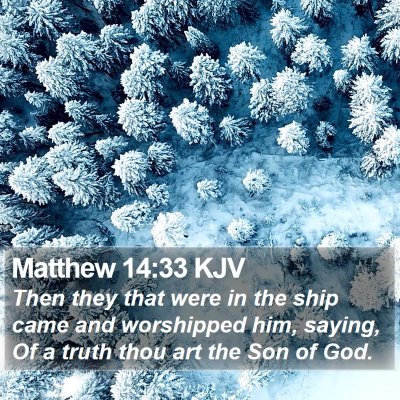 Matthew 14:33 KJV Bible Verse Image