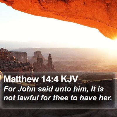Matthew 14:4 KJV Bible Verse Image