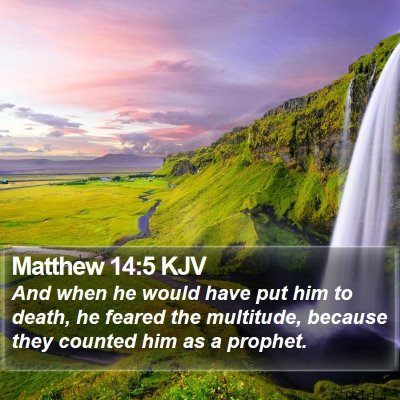 Matthew 14:5 KJV Bible Verse Image
