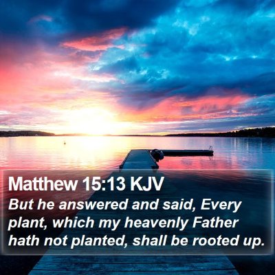 Matthew 15:13 KJV Bible Verse Image
