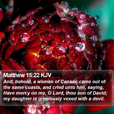 Matthew 15:22 KJV Bible Verse Image