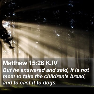 Matthew 15:26 KJV Bible Verse Image
