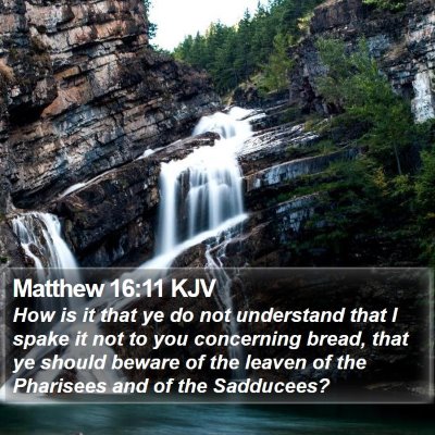 Matthew 16:11 KJV Bible Verse Image