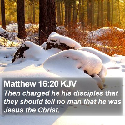 Matthew 16:20 KJV Bible Verse Image