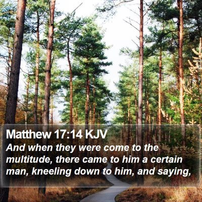 Matthew 17:14 KJV Bible Verse Image