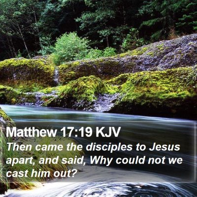 Matthew 17:19 KJV Bible Verse Image