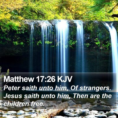 Matthew 17:26 KJV Bible Verse Image