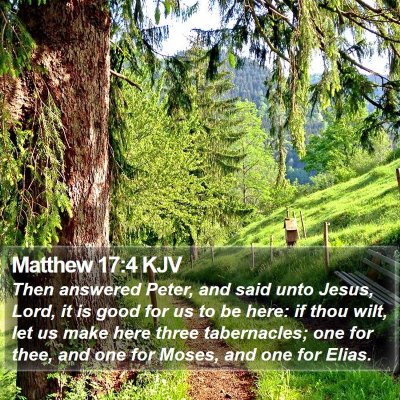Matthew 17:4 KJV Bible Verse Image