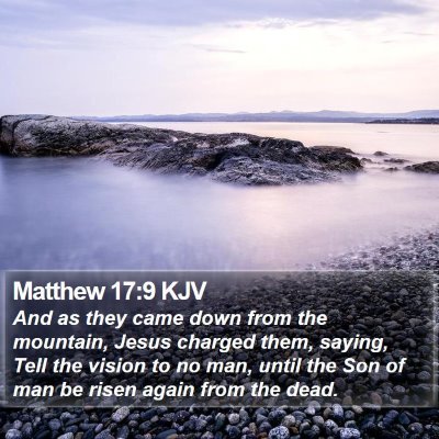 Matthew 17:9 KJV Bible Verse Image