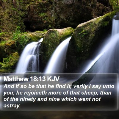 Matthew 18:13 KJV Bible Verse Image