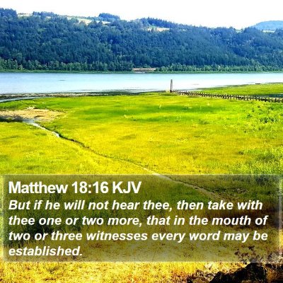 Matthew 18:16 KJV Bible Verse Image