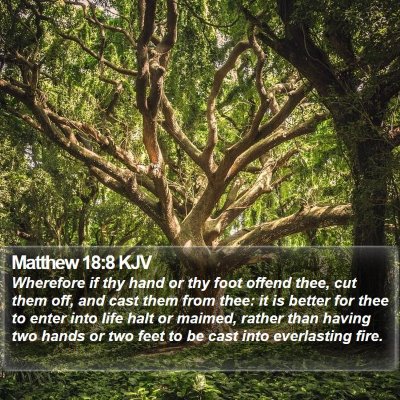 Matthew 18:8 KJV Bible Verse Image