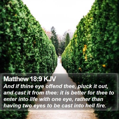 Matthew 18:9 KJV Bible Verse Image